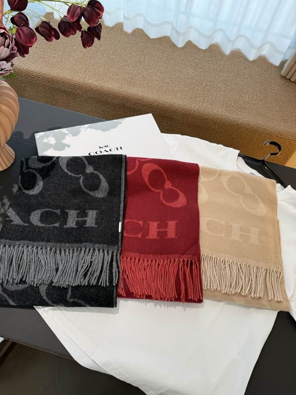 Coach Scarf 195X53cm E121260